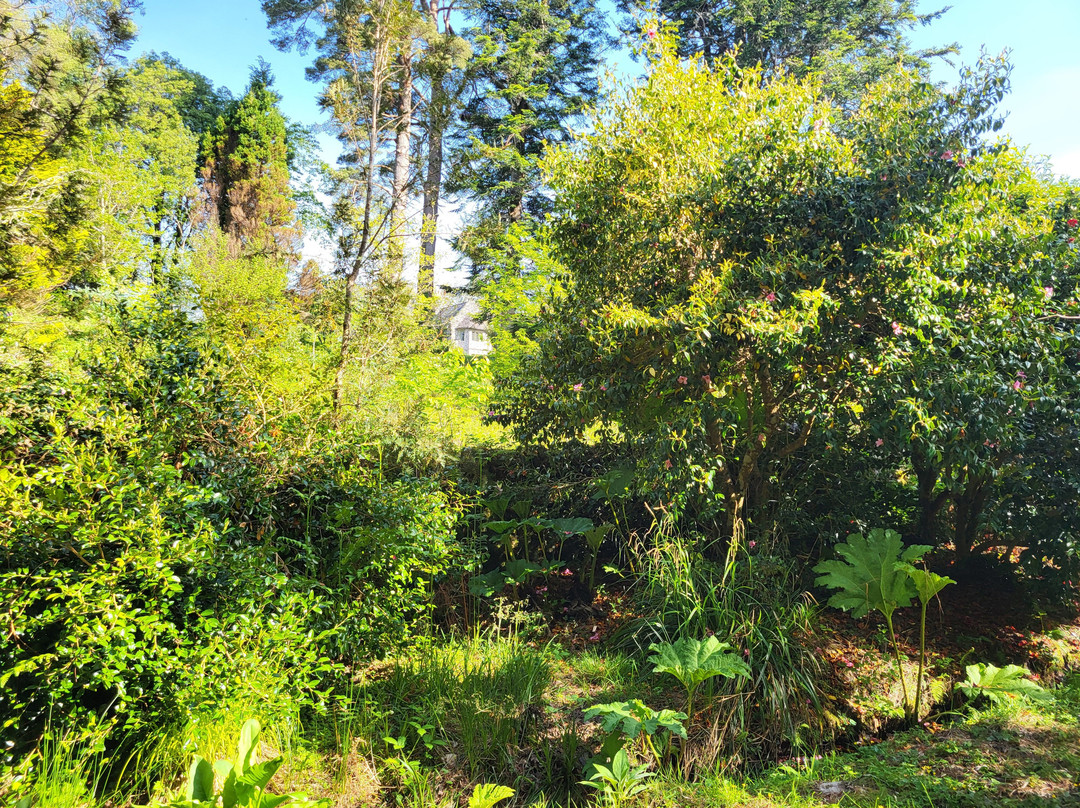 Ard Na Sidhe Country House主图