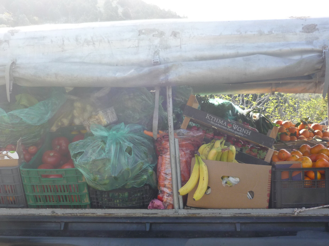 Guesthouse Alonia主图