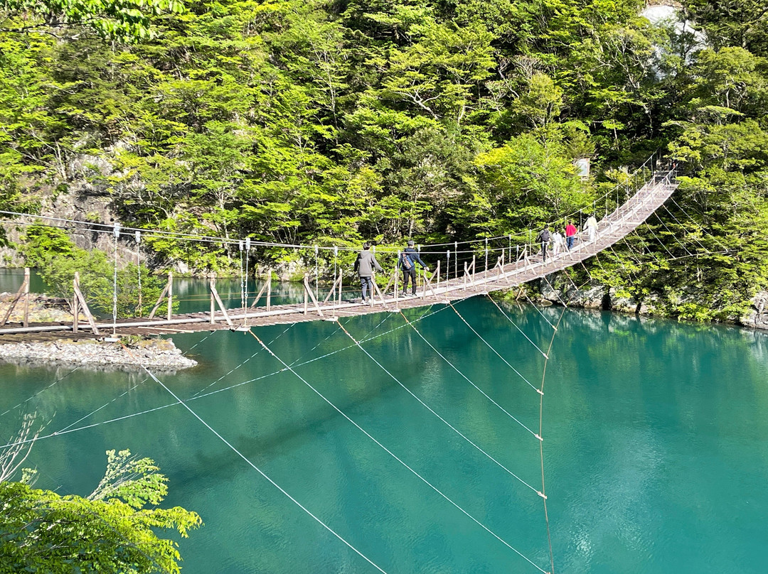 Yume no Tsuribashi Suspension Bridge-川根本町必去景点