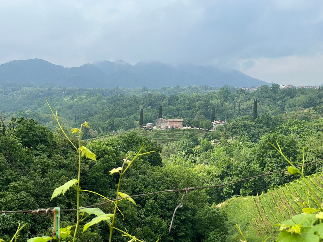 Azienda Agricola Ca' Piadera主图