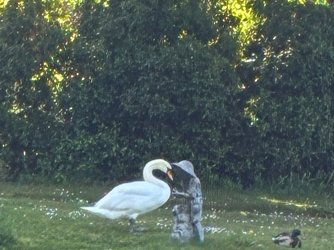 Spetchley Park Gardens-Spetchley必去景点