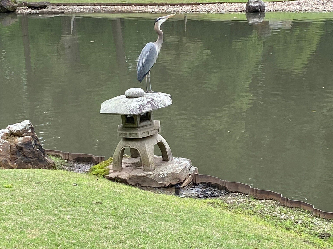 Memphis Botanic Garden-孟菲斯必去景点