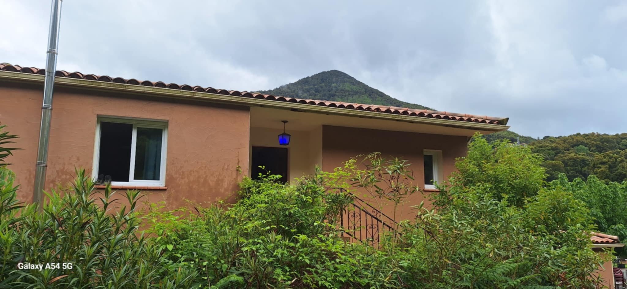 Domaine U Bugnu-官方