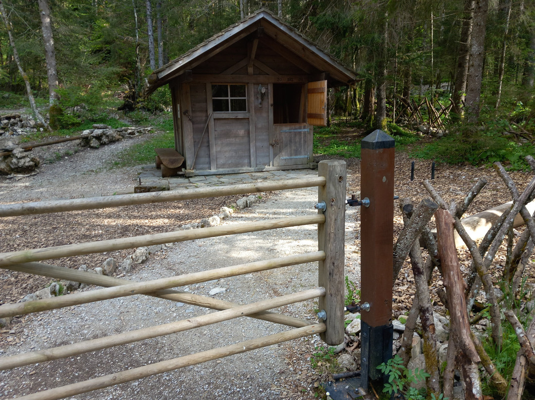 Schwarzsee Lac Noir-施瓦茨塞湖必去景点