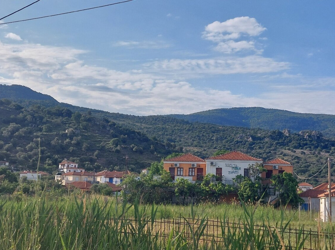 Anaxos Gardens主图