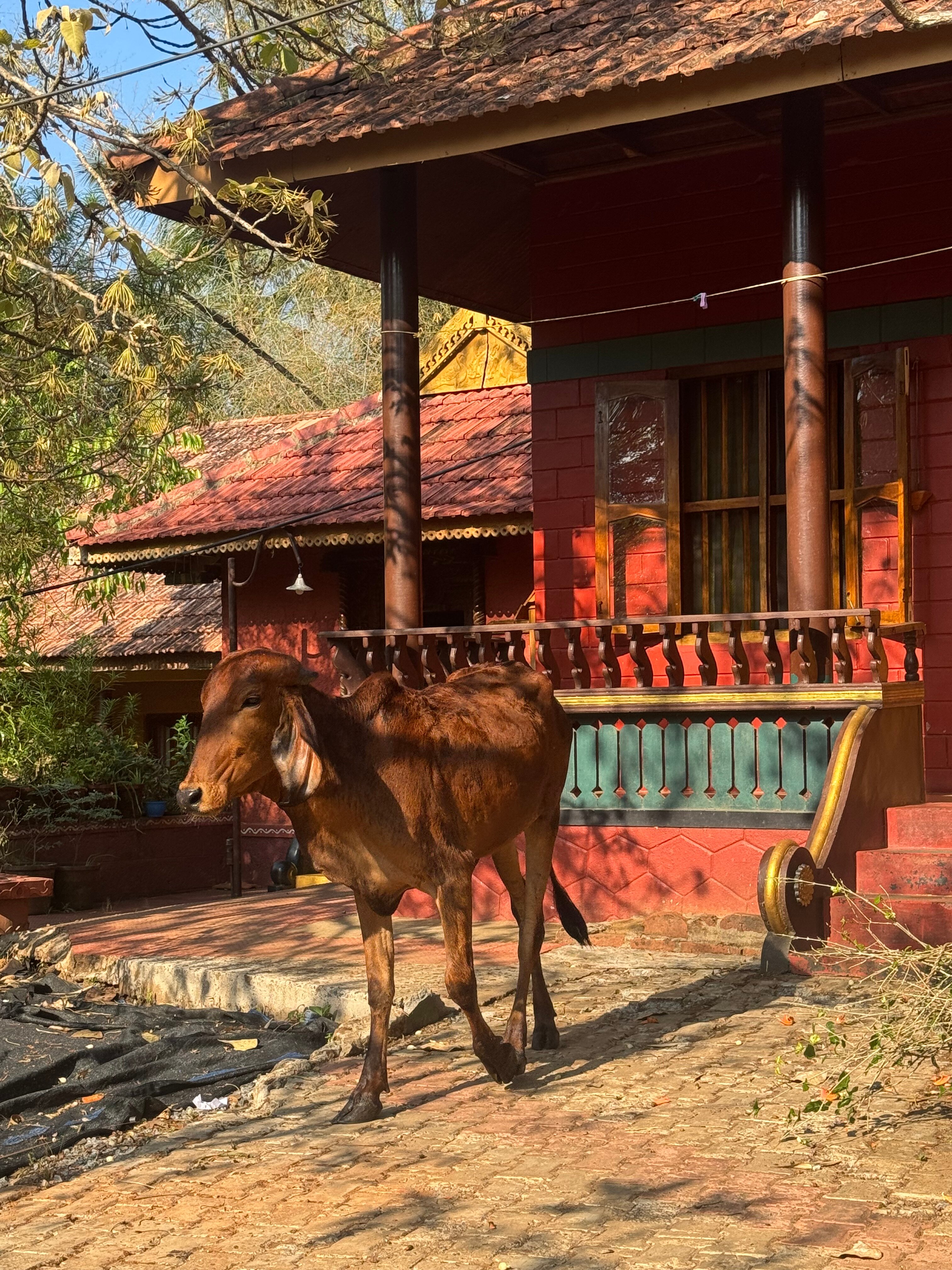 Ayurveda Yoga Villa Group Of Retreat Centres And Hospitals-官方