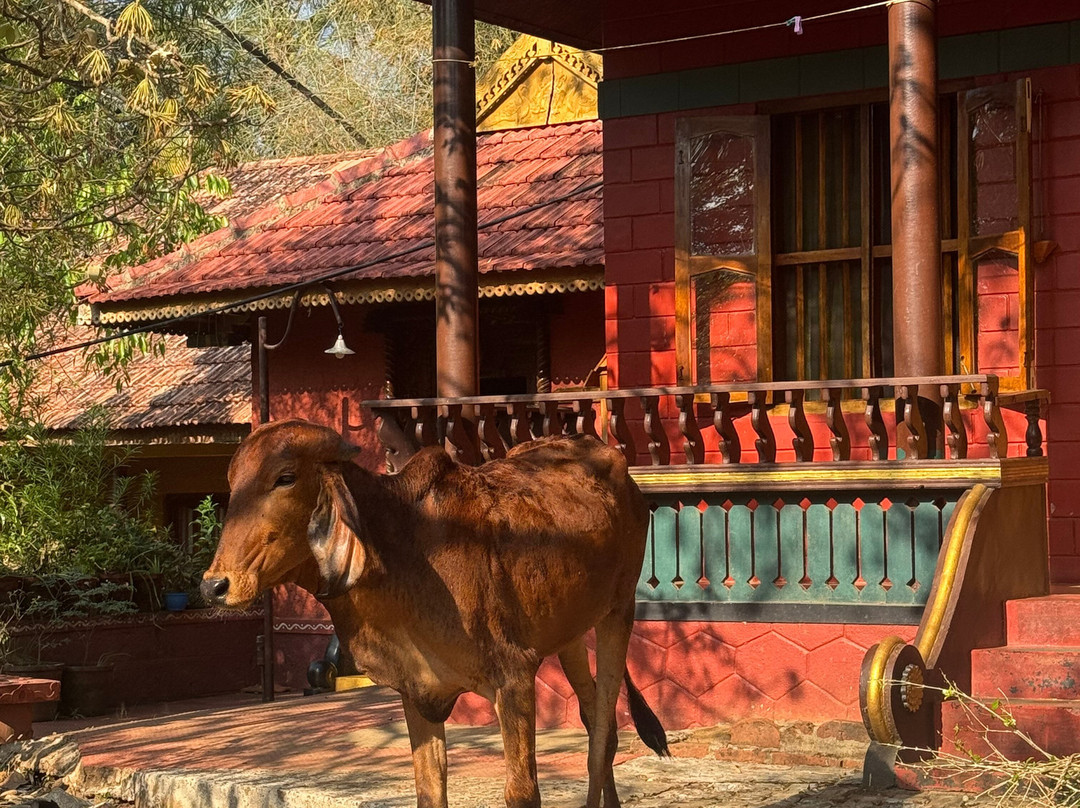 Ayurveda Yoga Villa Group Of Retreat Centres And Hospitals主图