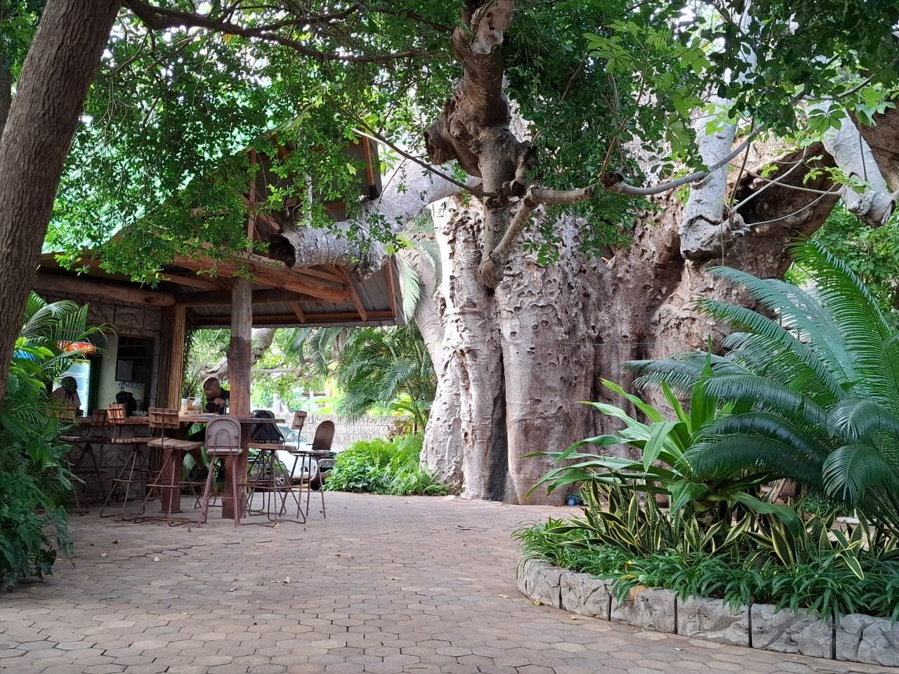 Peter's Place-官方