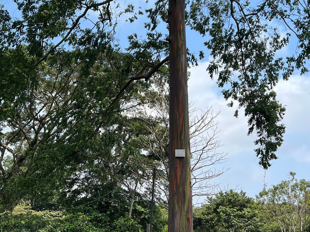 Arenas Travel Costa Rica-埃斯卡松必去景点