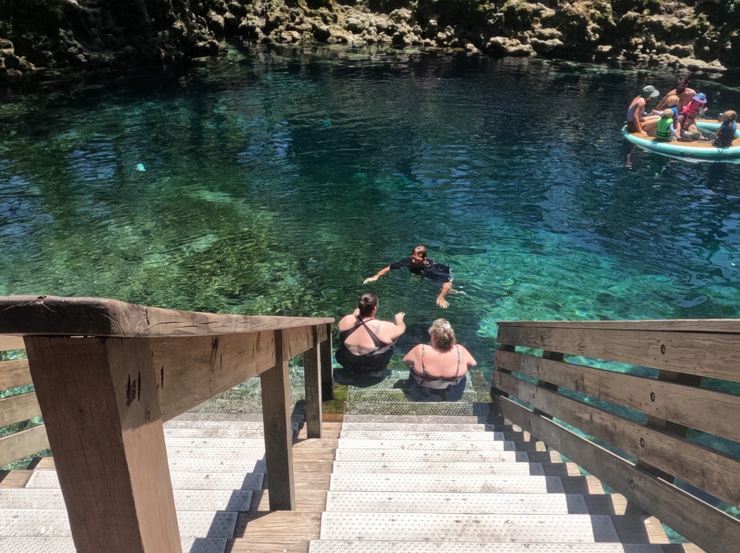 Madison Blue Springs State Park-Lee必去景点