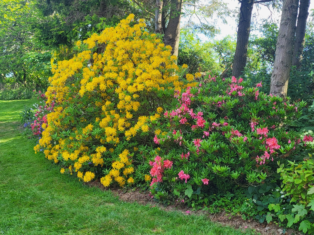 Cae Hir Gardens-Cribyn必去景点