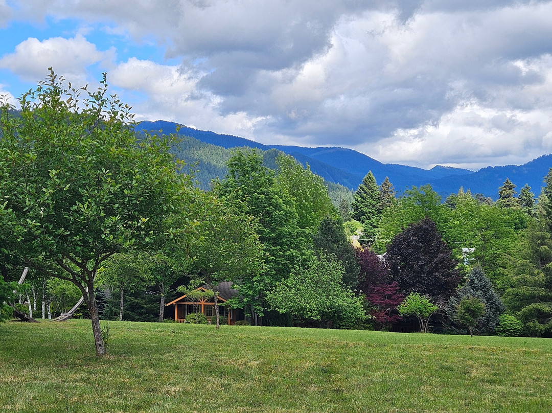 Carson Ridge Luxury Cabins主图