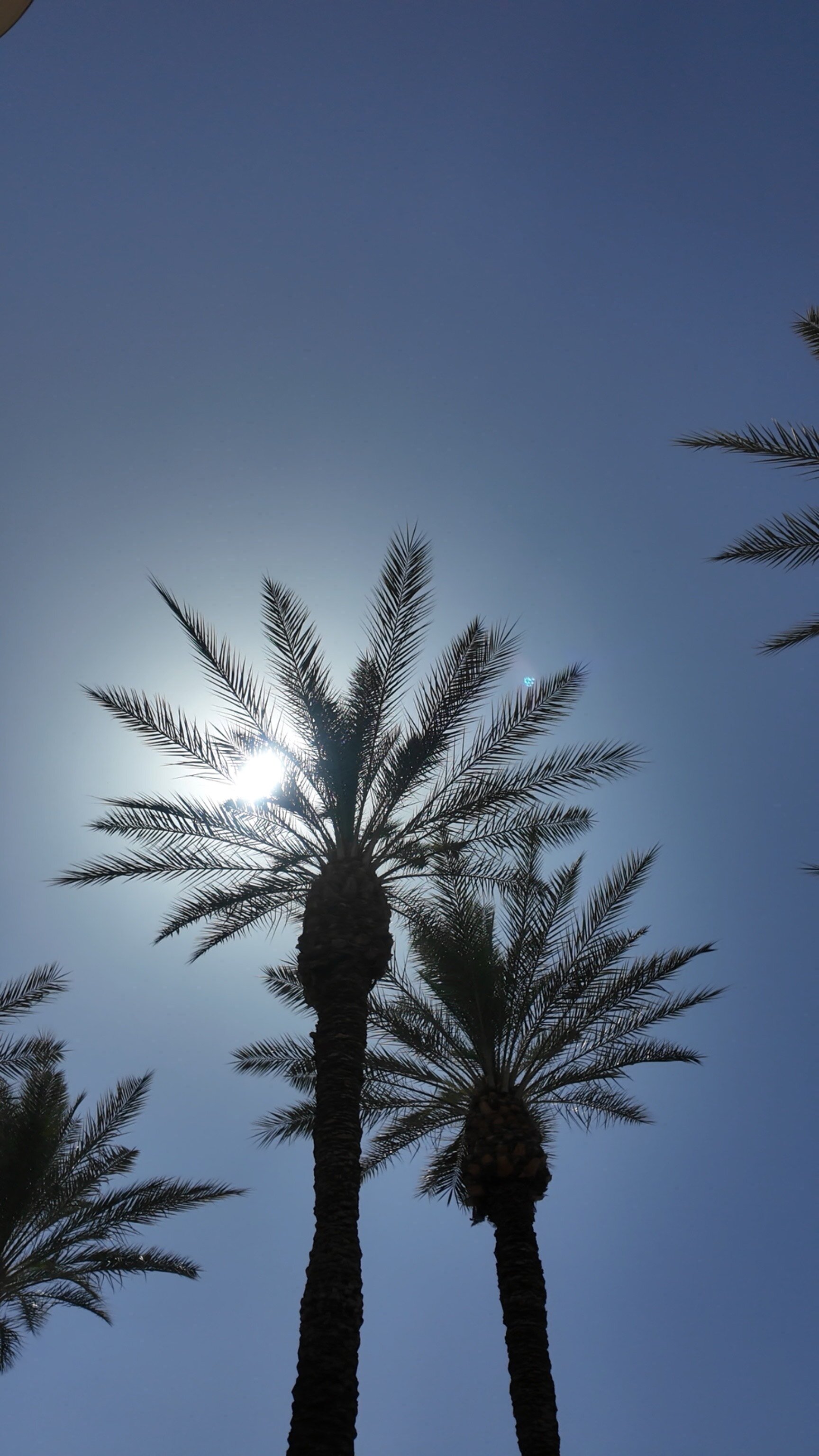 The Westin Kierland Resort & Spa-浴室