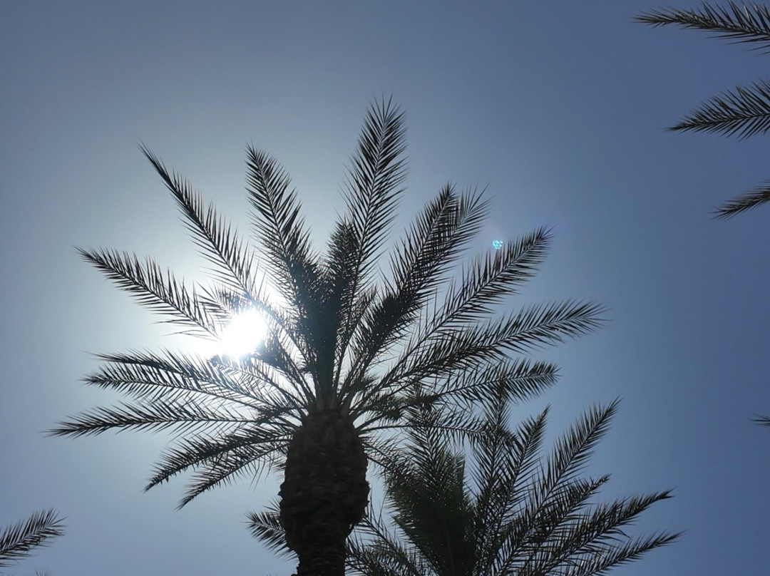 The Westin Kierland Resort & Spa主图