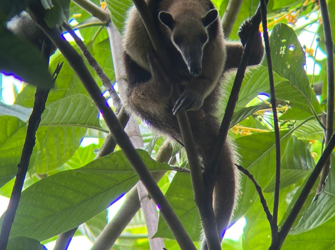 Ficus Tours-希门尼斯港必去景点