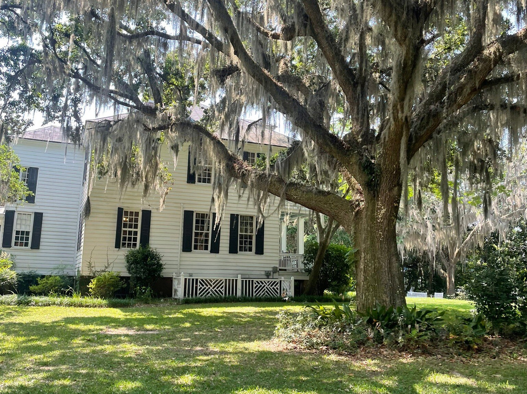 Hopsewee Plantation-乔治敦必去景点