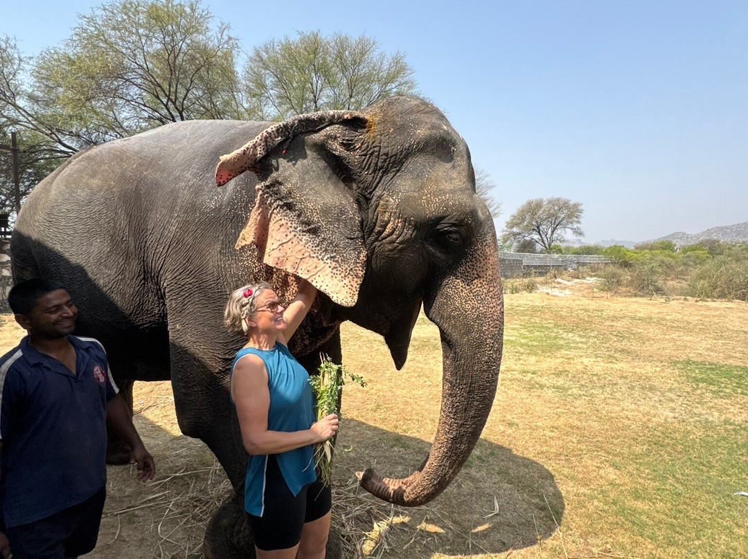 Elefanjoy Elephant Sanctuary-斋蒲尔必去景点