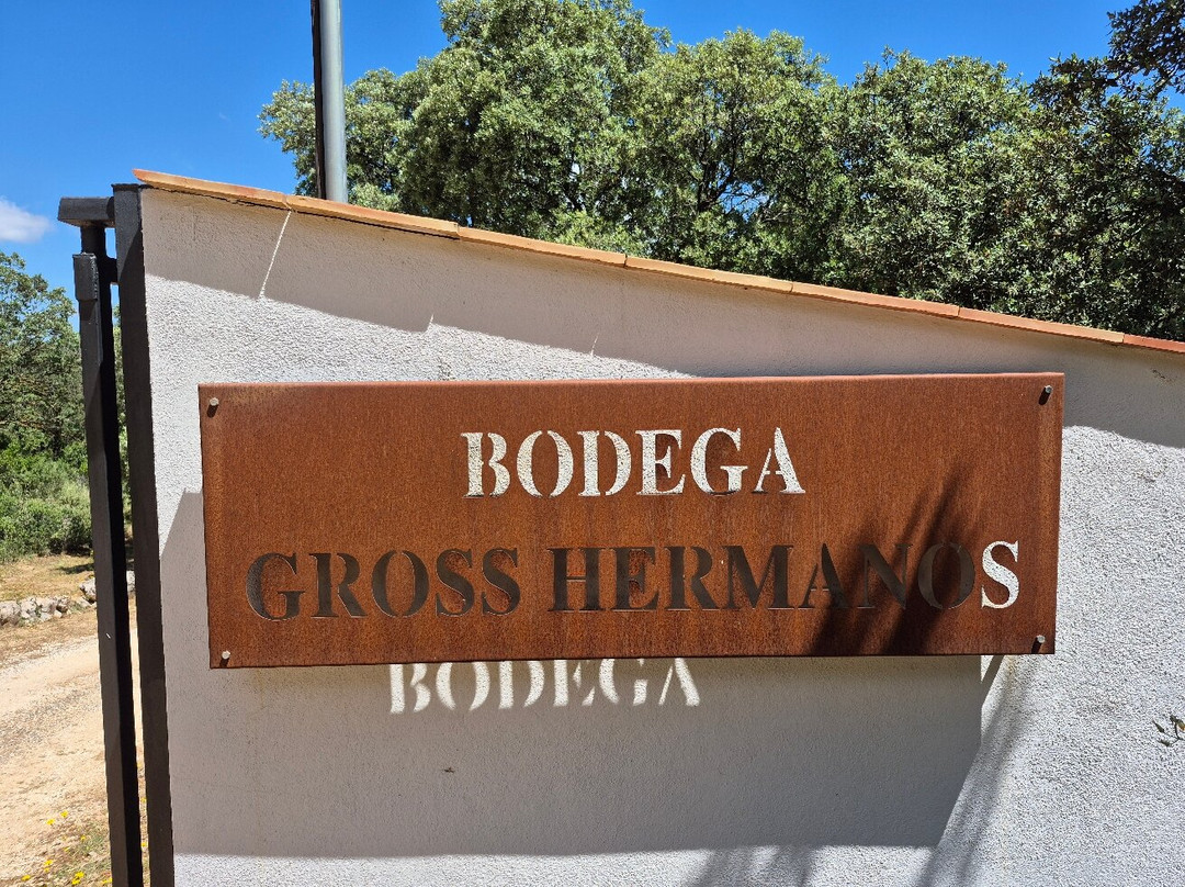 Bodega Gross Hermanos景点图片