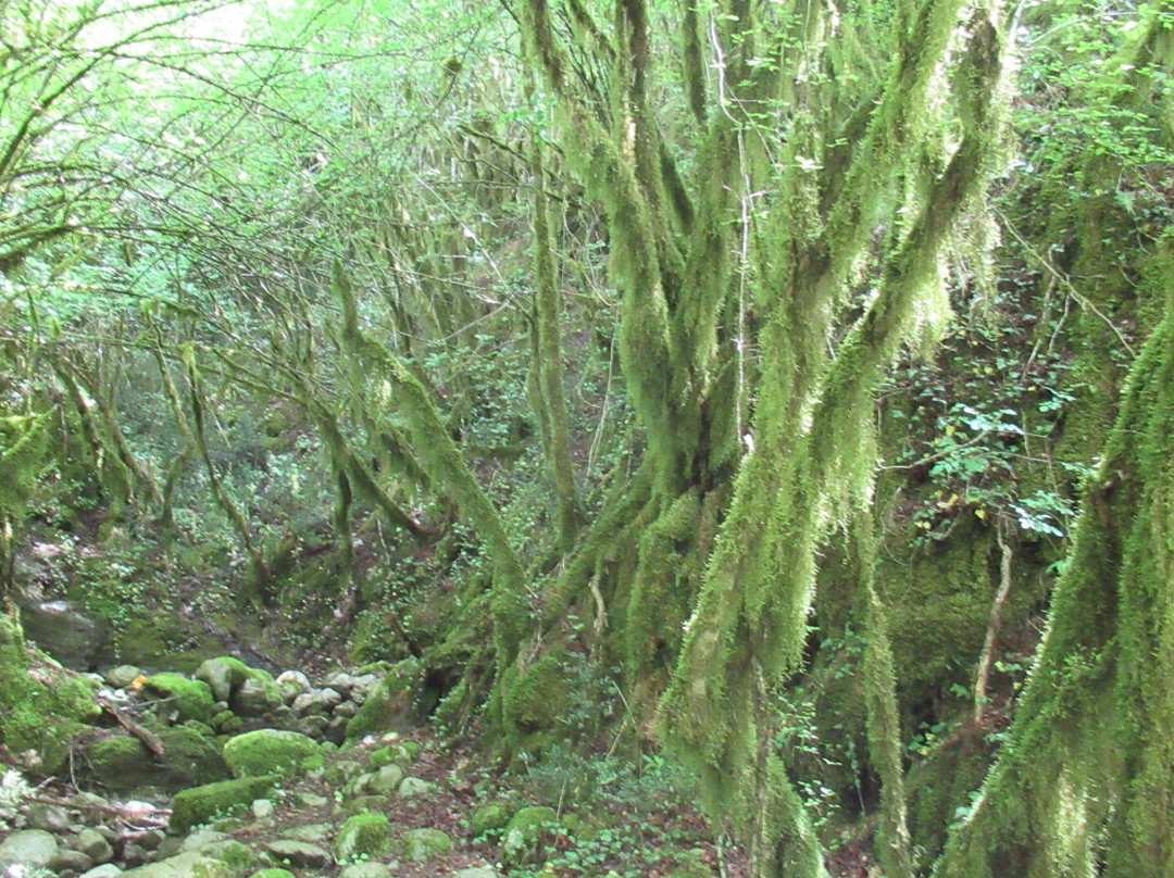 Mrtvica Canyon-Medjurecje必去景点