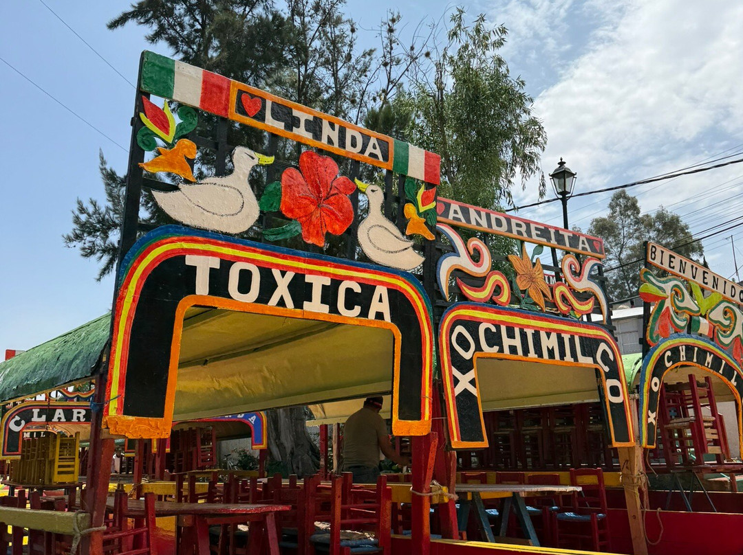 Floating Gardens of Xochimilco-墨西哥城必去景点