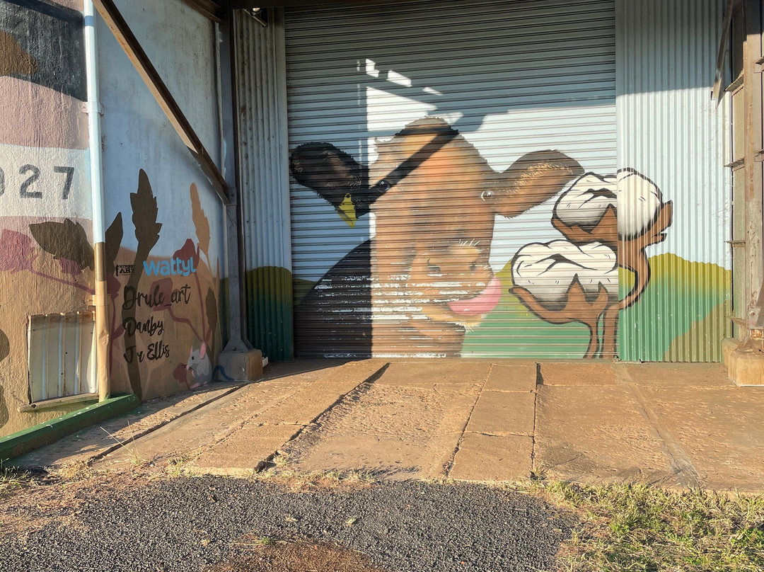 Silo Art Dunedoo-Dunedoo必去景点