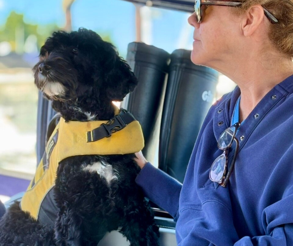 Sail The San Juans-贝灵厄姆必去景点