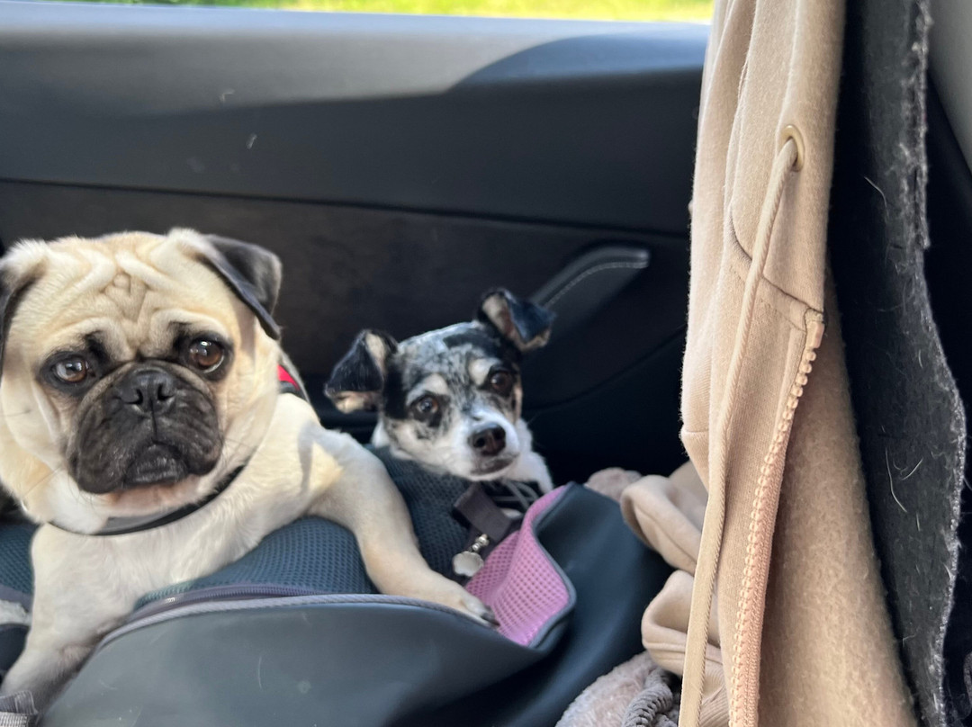 Holiday Inn Express Tifton by IHG主图