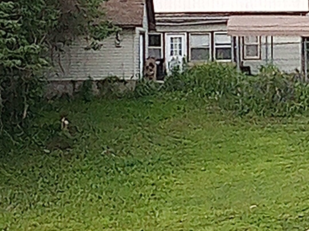 Dorothy Miller Park-Metropolis必去景点