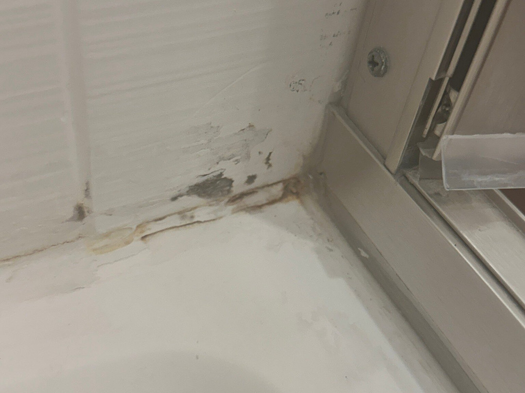 Hilton Garden Inn Jackson/Flowood主图