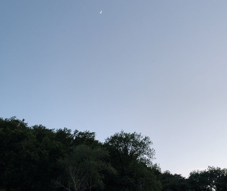 Sorgente acqua minerale-Tolfa必去景点