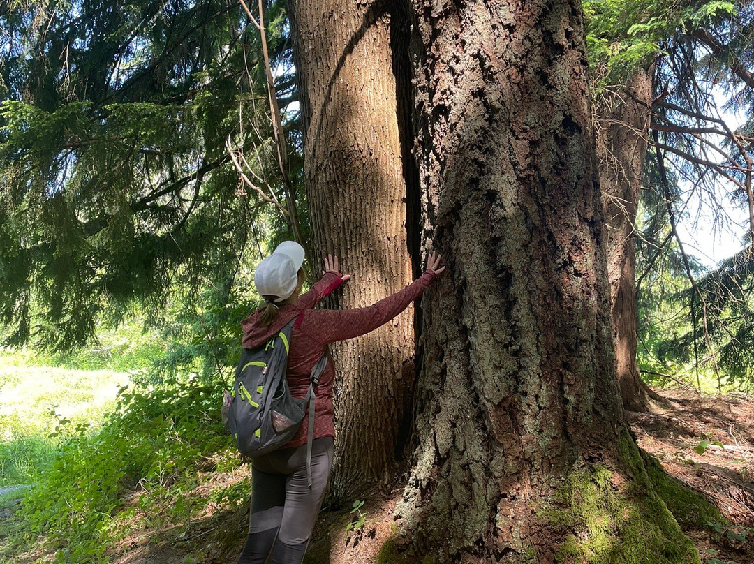 Evans Creek Preserve-雷德蒙德必去景点