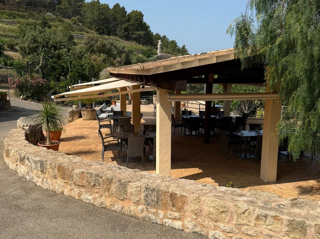 Bodega Castell Miquel景点图片