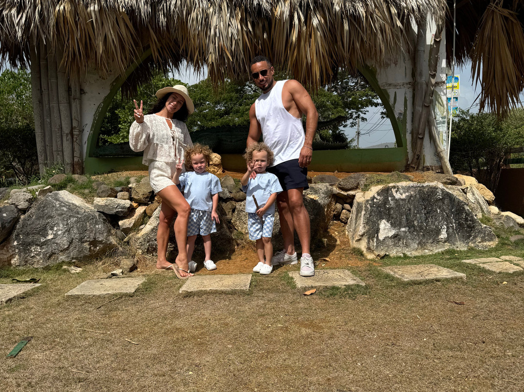 Jamaica Swamp Safari Village-法尔茅斯必去景点