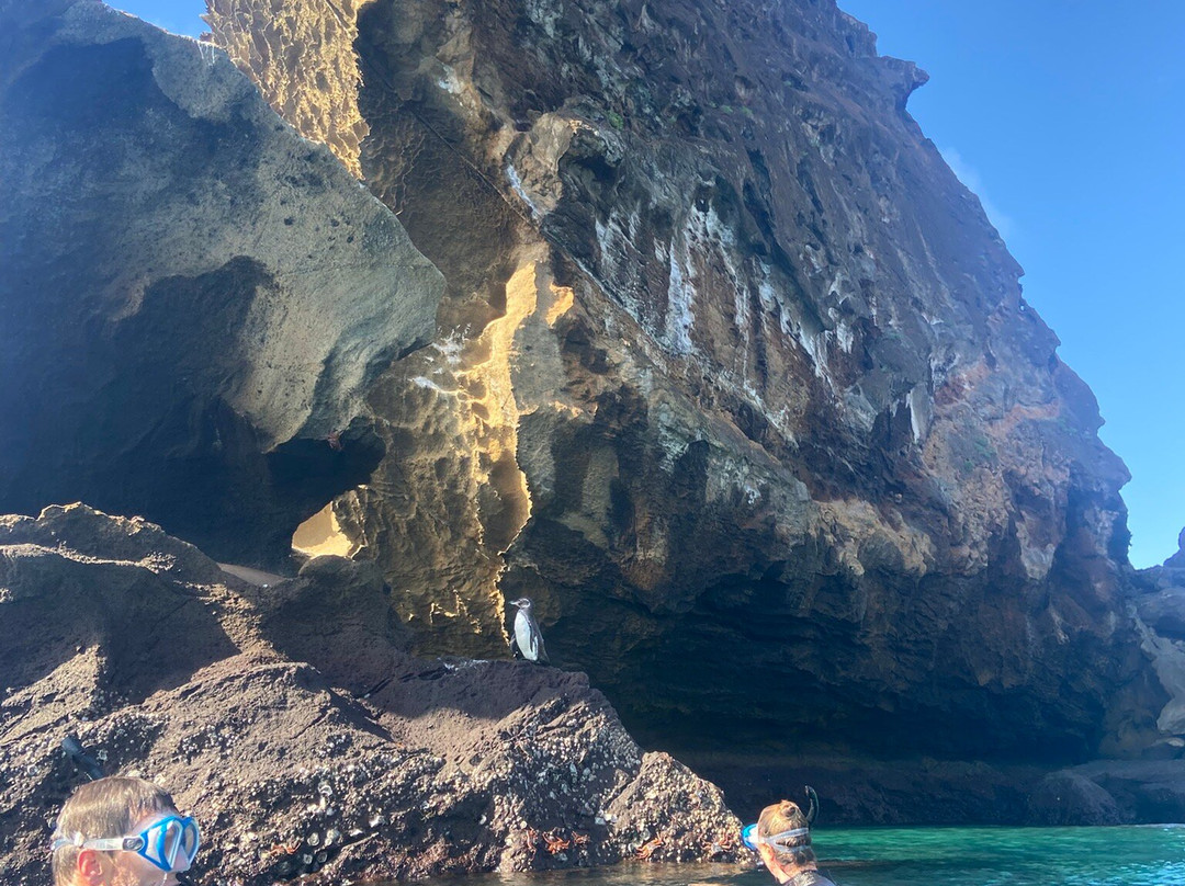 Yacht Anahi-阿约拉港必去景点