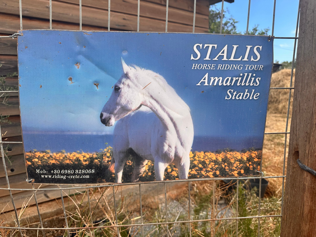 Amarillis Stable-Mochos必去景点