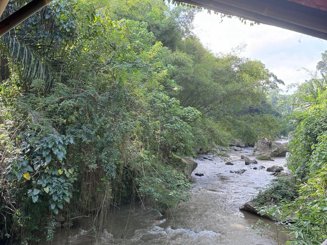 Green Camp Bali景点图片