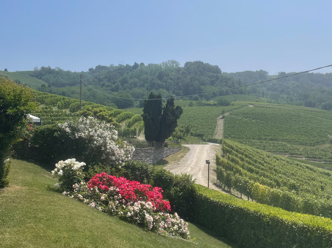 Costa di Bussia - Tenuta Arnulfo景点图片