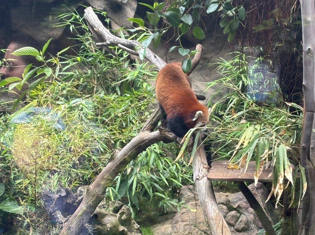 Atlantico Excursions-特纳里夫必去景点