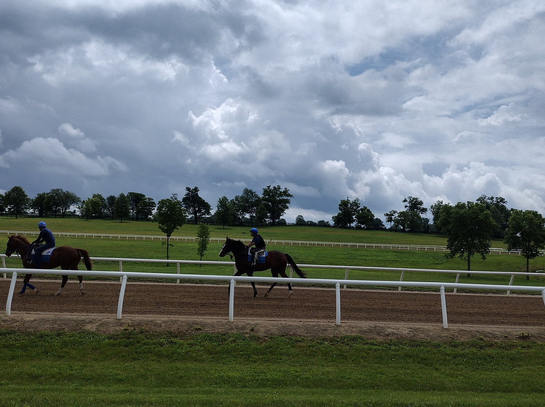 Pin Oak Stud-Versailles必去景点