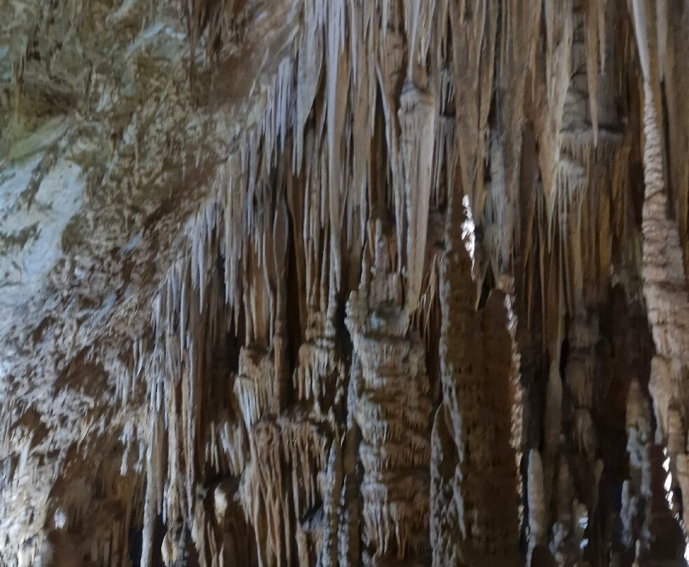 Parque Estadual Caverna do Diabo-Eldorado必去景点