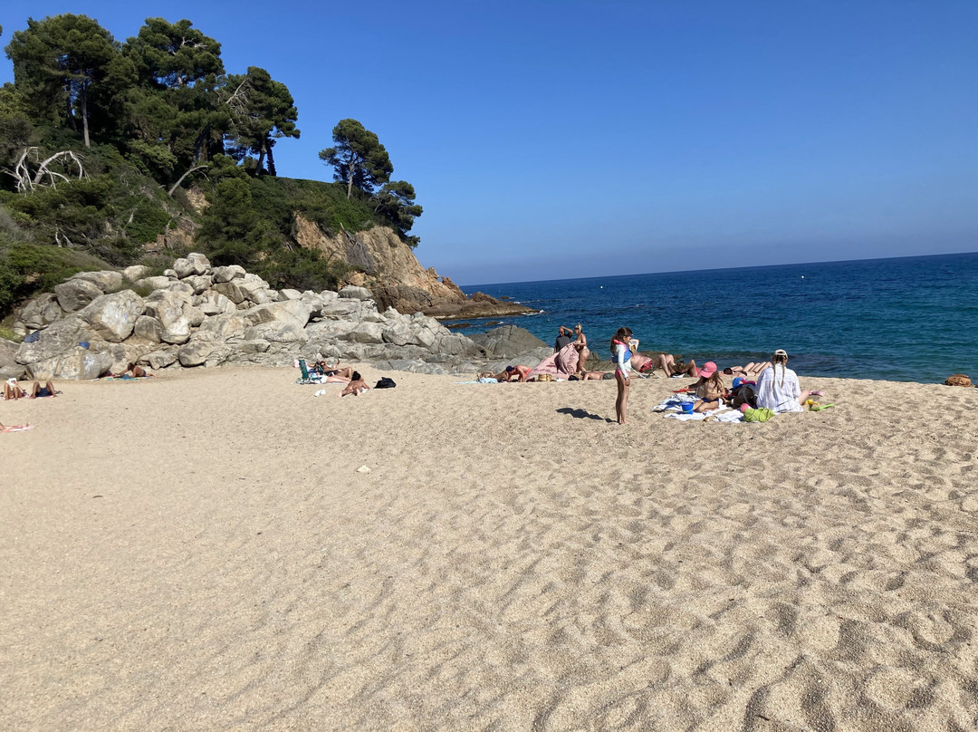 Playa Cala Sa Boadella-犹兰特德玛必去景点