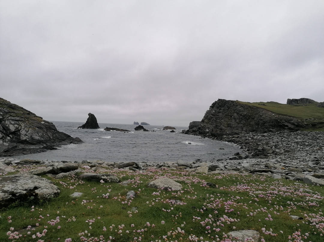 Shetland Rural Experience-Tingwall必去景点