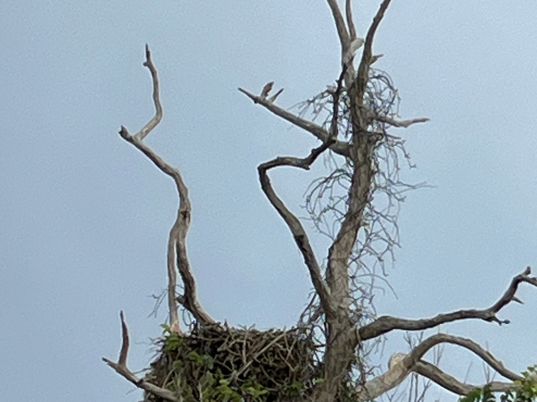 Neal Preserve-布雷登顿必去景点