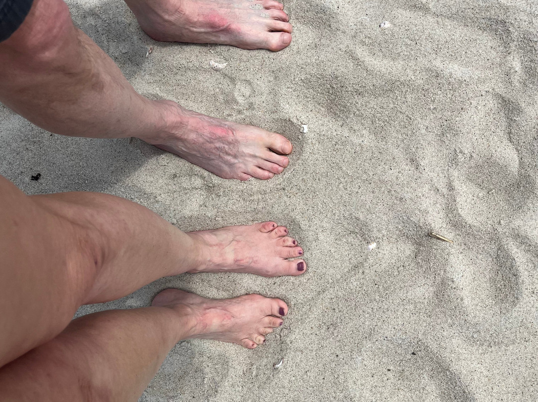 Blue Water Resort主图