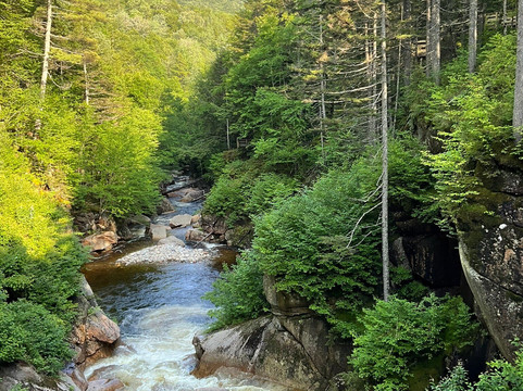 林肯戴斯酒店主图