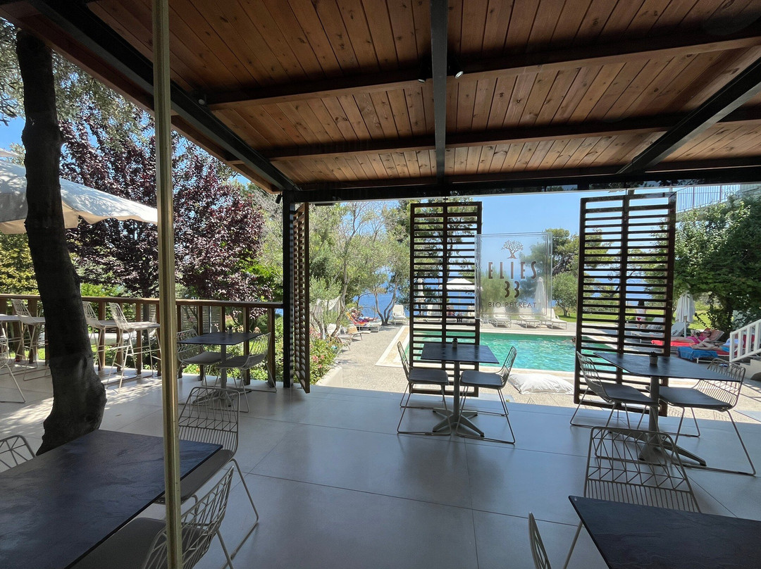 Elies 33 Bio Retreat主图