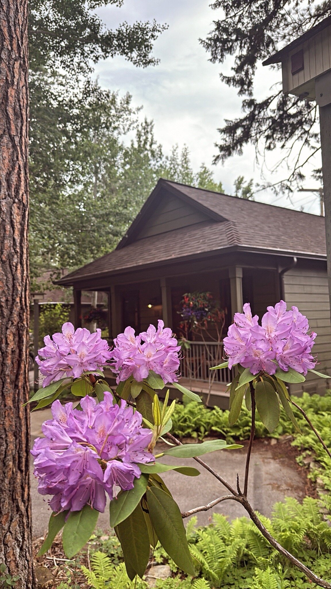 Bridge Street Cottages-官方