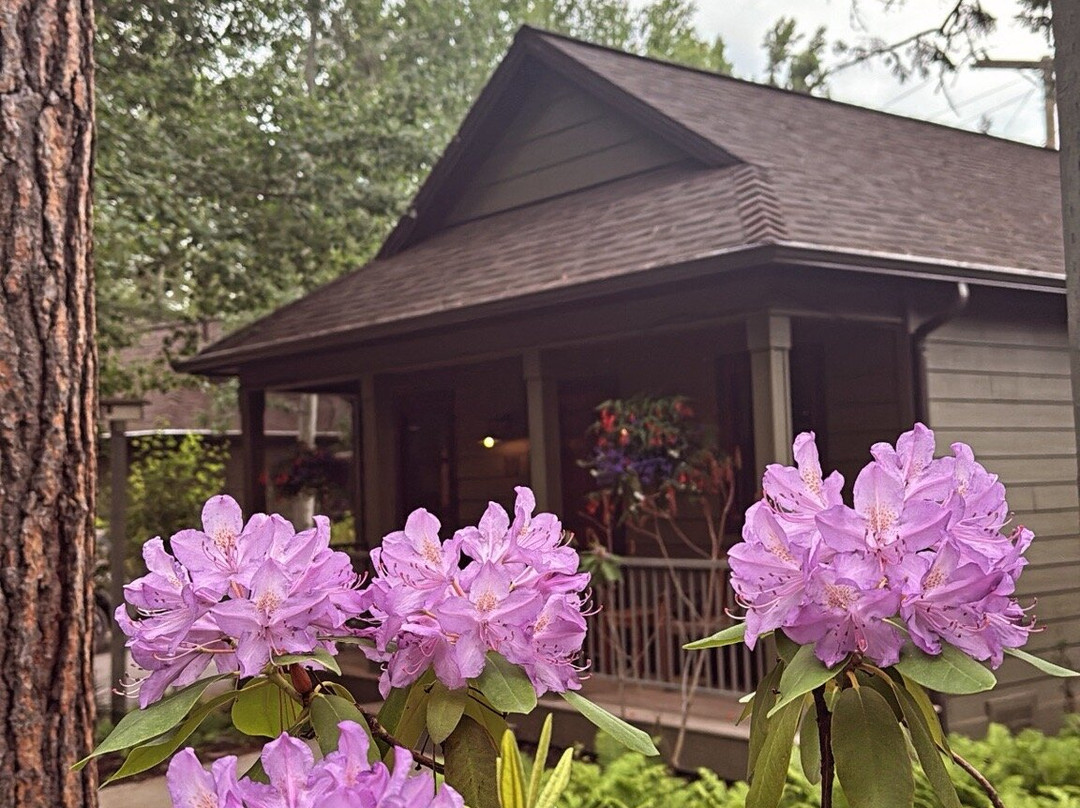 Bridge Street Cottages主图