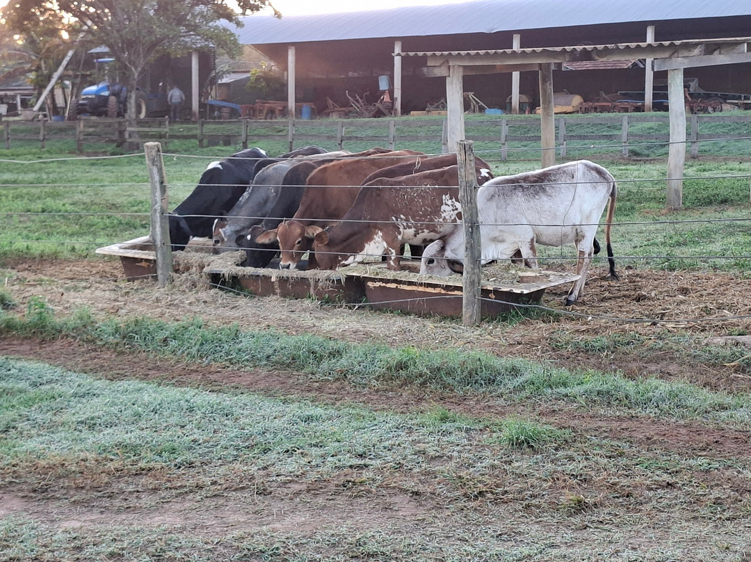 Brotas Eco Hotel Fazenda主图