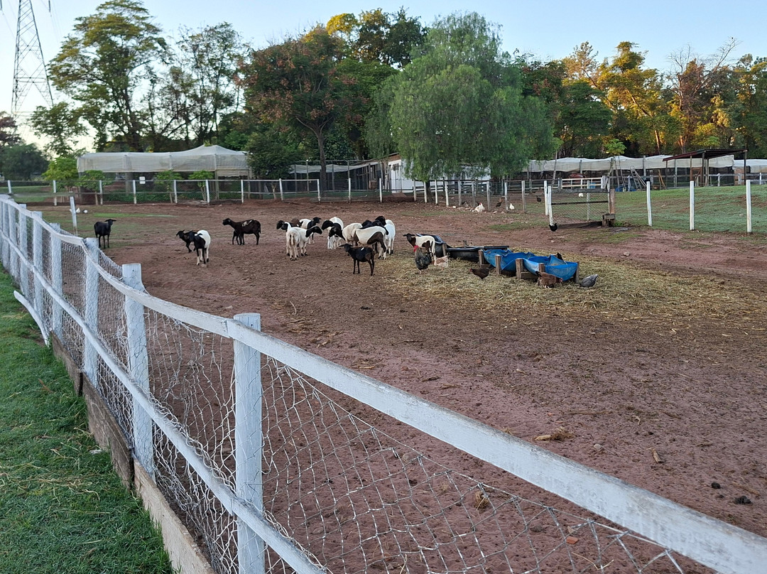 Brotas Eco Hotel Fazenda主图